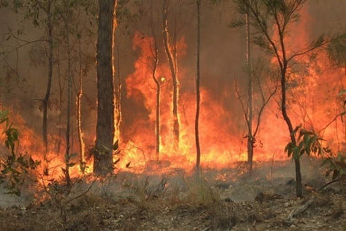 Bush Fire At Captain Creek Central Queensland Australia